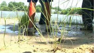 Old Dominion University Biology graduate students restore wetlands