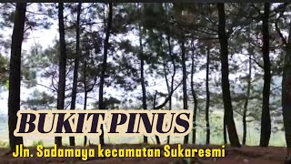 PASTI BETAH!! Suasana Terkini Bukit Pinus Sebelum ke Kampung Bidadari