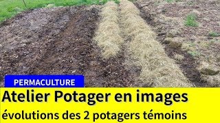 Atelier en ligne Potager Autonome : évolutions des potagers témoins