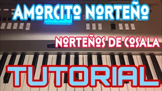 Amorcito Norteño - Los Norteños de Cosala (Melodia Tutorial en Teclado)