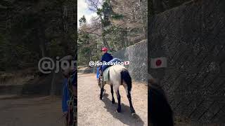 Horse riding @ Mt.Fuji 5th station #mtfuji #horseriding #japan #japanlife #shorts