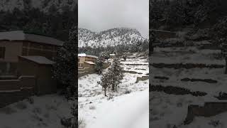 Ziarat Balochistan #snowfall #2024 #explorepakistan #adventure #shortsyoutube