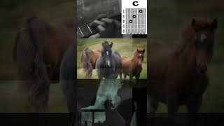 Wild Horses p2. The Rolling Stones #short