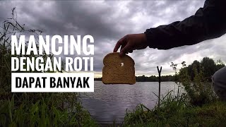 VLOG-12 mancing dengan roti, Setelah pulang kantor ya... mancing lagi