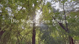 Die Wunder des Alltags