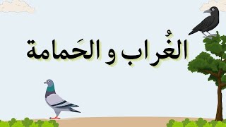 The pigeon and the crow story in Arabic, for advanced level