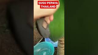 Susu pepaya Thailand #susu #buah #thailand