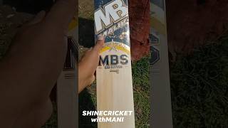 MBS Big Hitter Edition Cricket Bat #cricket #englishwillowbats #ukcricket #usacricket #clubcricket