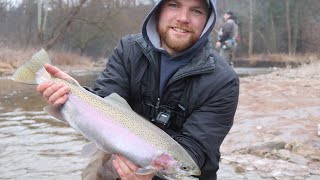 Fat Lake Ontario Steelhead