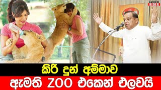 පොත්ත සුදුයි කී Zoo අධ්‍යක්ෂ ජනරාල්වරියව , ඇමති CB ගෙදර යවයි | රිදියගම උද්‍යානයේ රෑට වෙන දේවල් එලියට