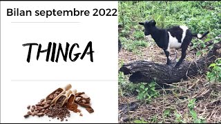 Bilan septembre 2022