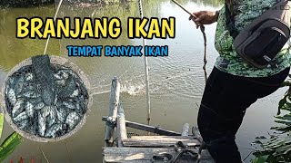 the way Indonesian people find fish || Branjang ikan || nangkul ikan