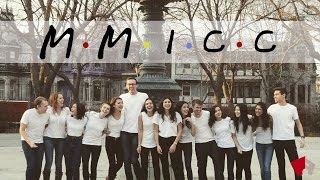 Meet the "Friends" of the MMICC Executive Committee 2016