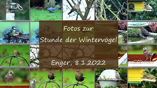 Stunde der Wintervögel