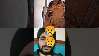 ਦਰਦ ਸਭ ਨੂੰ ਹੁੰਦਾ 😢#punjabi #shortsfeed #shortsviral #shortsvideo #shorts #short #youtube #like #meme