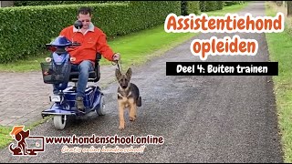 Assistentiehond opleiden - deel 4