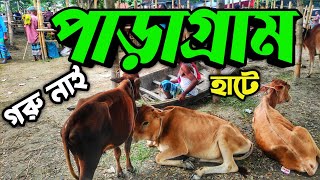 পাড়াগ্রাম হাট ঘুরে আসলাম || Purbasha Agro