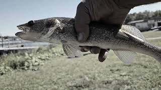 Just happy to be fishing