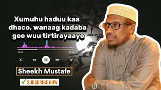 Xumuhu haduu kaa dhaco wanaag kadaba gee wuu tirtirayaaye. #sheekhmustafe #wacdi @XikmadoTube.