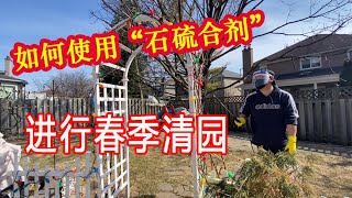 如何使用“石硫合剂”进行春季清园