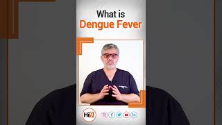 What is dengue fever explained by  Dr. Shaikh Farhan A Rashid | Hi9 |