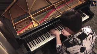 插班生 The Freshman - 原地打轉 TRIBUTE TO ALOYSIUS PANG: Piano Arrangement / Cover by: Heegan Lee Shzen 李胜