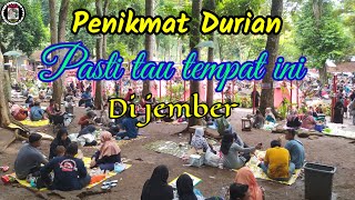 Tempat Wisata Kampung Durian ter firal di Jember.. ||