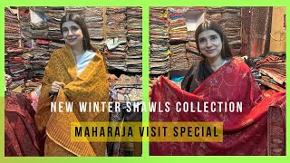 New Winter Shawls Collection ！！Maharaja Visit Special 💕 💕 Vlog 585