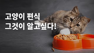 밥 잘 먹지 않는 우리 아이, 고양이 편식은 어떻게 해결하나요?