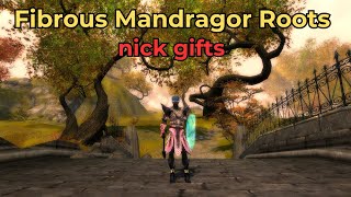 Fibrous Mandragor Roots Nick Gifts