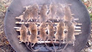 廣東人和福建人吃的老鼠，已被列入中國十大禁菜！|Why do Cantonese and Fujian people love to eat rats?