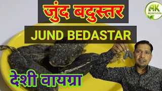 जुंद बदुस्तर  (Castureum) JUND BEDASTAR के फायदे , ak ayurveda