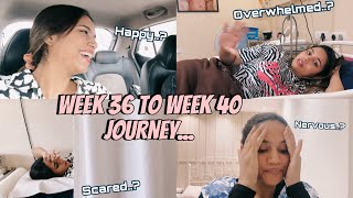 LAST FEW WEEKS OF PREGNANCY…so many emotions!! || Pregnancy series