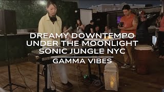 Gamma Vibes - Dreamy Downtempo Electronic Live Set(Under the Moonlight)