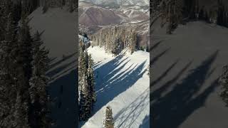 Did you know you can get a sightseeing pass and ride the gondolas to the top of Aspen mountain?