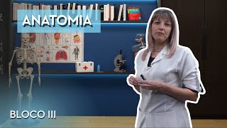 ANATOMIA - CURSO DE COMISSÁRIOS DE VOO (BLOCO III)