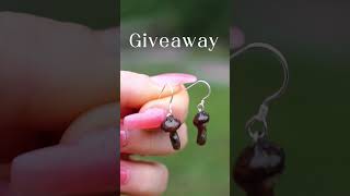 Giveaway! Win a pair of mushroom Earrings 🍄 Tag 2 friends in the comments & subscribe to enter 🥰