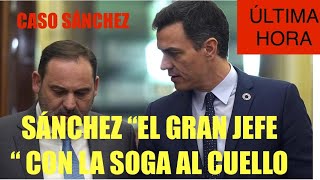 🛑ÚLTIMA HORA PEDRO SÁNCHEZ CON LA SOGA AL CUELLO ‼️‼️🛑