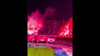 PYRO - MC Alger vs Olympique Akbou 24.10.2024 #pyro