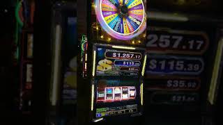 coushatta Gold wheel