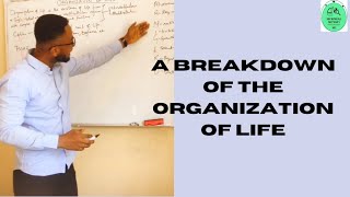 Organization of life: the biology of how everything works together. #cell #life #biology #tissue