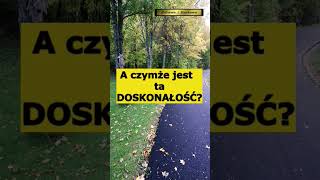 Dążenie do DOSKONAŁOŚCI #shorts