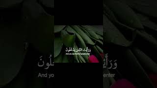 ماشاءالله تلاوة هادئة 🎧😌 لايك اشتراك