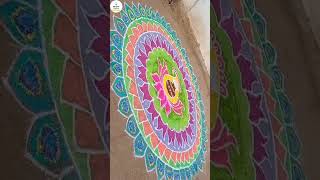 New big rangoli design | Pongal pot rangoli with peacock feathers  #pongalkolam #pongalrangoli