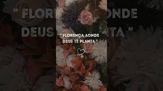 Floresça aonde Deus te planta | Reflexão e Motivação #vidacompropositos #fe