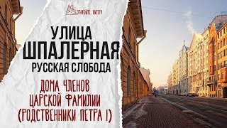 Истории Литейного проспекта. Дома членов царской фамилии