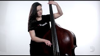 D'Addario: Helicore Pizzicato Double Bass Strings