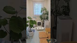 BEFORE & AFTER รีโนเวทมุมหลังบ้านให้กลายเป็นห้องสำหรับน้องแมว | บุญถาวร