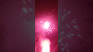 Halen (Salute ) 64 shot Firework #fireworks #pyro #4thofjuly