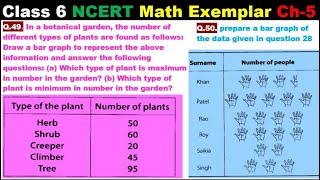 Class 6 Math Ch-5 Q 49 | Q 50 Math NCERT Exemplar Solution|MATH|NCERT|Data Handling|CBSE|MATH|Ch 5